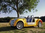 Acrea Zest 2-Seater 2006 года